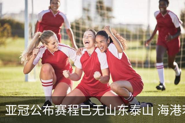 亚冠公布赛程已无山东泰山 海港若递补将赴泰国